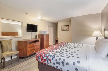 Room, 1 King Bed, Non Smoking