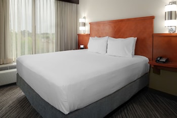 Room, 1 King Bed with Sofa bed