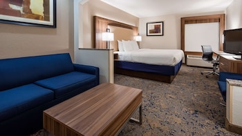 Executive Room, 1 King Bed, Non Smoking, Refrigerator & Microwave (with Sofabed)