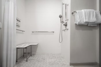 Standard Room, 1 King Bed, Accessible (Mobility, Roll-In Shower)