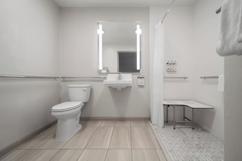 Standard Room, 1 King Bed, Accessible (Mobility, Roll-In Shower)
