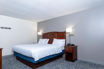 Room, 1 King Bed, Hearing Accessible, Microwave