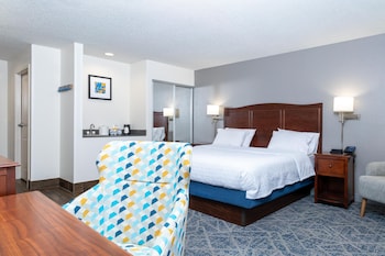 Studio, 1 King Bed, Microwave