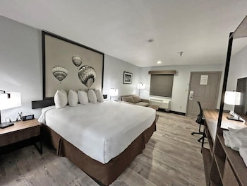 Standard Room, 1 King Bed, Non Smoking (with Single Sofabed)