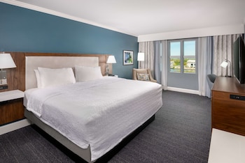 Room, 1 King Bed, River View
