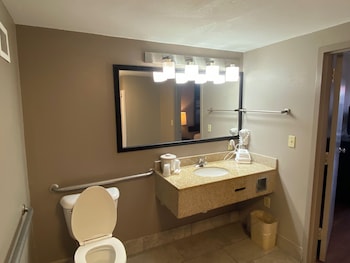 Deluxe Room, 1 King Bed, Accessible, Non Smoking (Roll-in Shower)