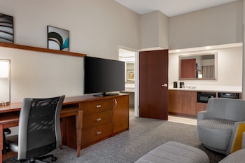 Standard Studio, 1 King Bed with Sofa bed