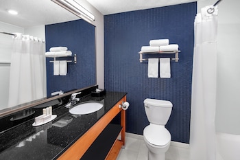 Room, 1 King Bed, Roll-in Shower