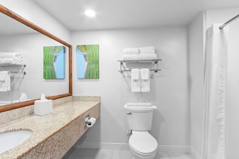 Room, 1 King Bed