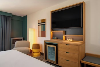 Room, 1 King Bed (Mobility/Hearing Access, Roll-in Shwr)