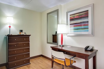 Standard Room, 1 King Bed with Sofa bed