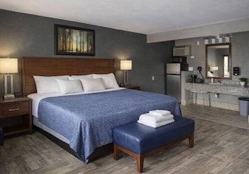Room, 1 King Bed, Accessible, Non Smoking