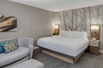 Room, 1 King Bed, Hearing Accessible, Balcony (Roll-in Shower & Transfer Shower)