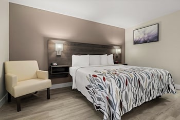 Deluxe Room, 1 King Bed, Accessible, Non Smoking (Roll-In Shower)