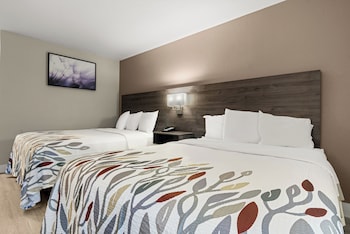 Deluxe Room, 2 Queen Beds, Non Smoking