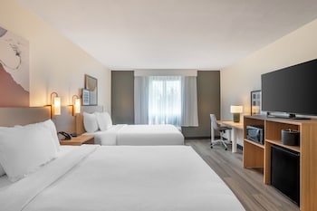 Room, Multiple Beds