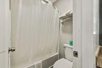 Room, 1 King Bed