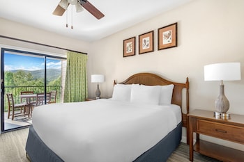 1 BEDROOM 1 KING DELUXE SUITE WITH SOFABED