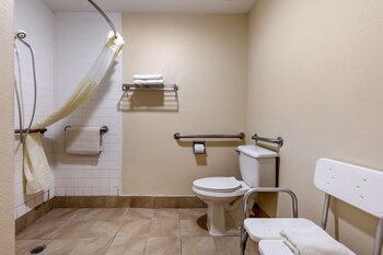 Standard Room, 1 King Bed, Accessible, Non Smoking