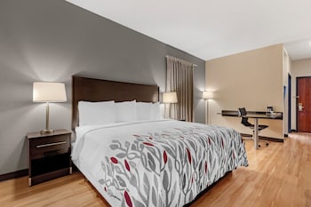 Superior Room, 1 King Bed, Non Smoking