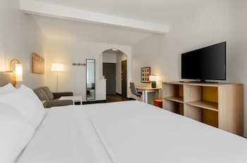 Room, 1 King Bed with Sofa bed