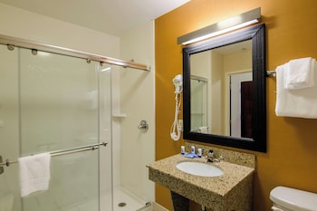 Room, 1 King Bed, Hearing Accessible (Roll-in Shower)