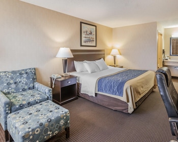 Room, 1 King Bed, Non Smoking