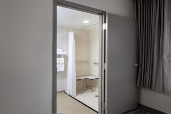 Accessible King With Sofa Bed (Roll-in Shower)