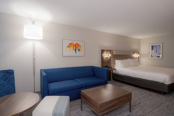 Suite, 1 King Bed with Sofa bed, Accessible (Communications)