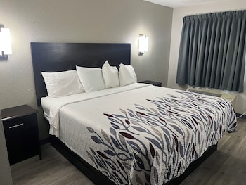 Superior Room, 1 King Bed, Non Smoking