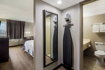 Superior Room, 1 King Bed, Non Smoking, Kitchenette