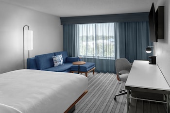 Room, 1 King Bed with Sofa bed