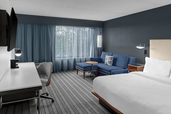 Room, 1 King Bed with Sofa bed, Hearing Accessible (Roll-in Shower)