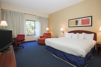 Room, 1 King Bed with Sofa bed