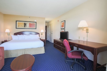 Room, 1 King Bed with Sofa bed
