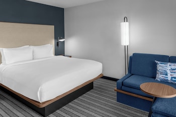 Room, 1 King Bed with Sofa bed