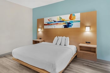 Standard Room, 1 King Bed, Accessible, Refrigerator & Microwave