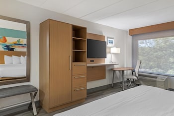 Standard Room, 1 King Bed, Non Smoking, Refrigerator & Microwave (with Single Sofabed;Larger Room)