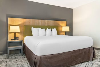 Premium Room, 1 King Bed, Non Smoking