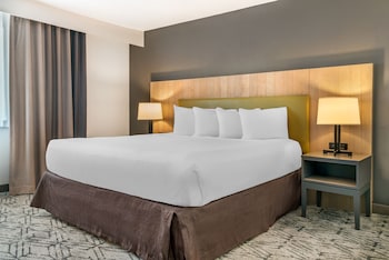 Room, 1 King Bed, Accessible, Non Smoking (Roll-in Shower)