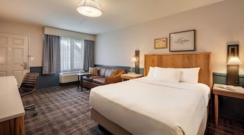 Studio Suite, 1 Queen Bed, Accessible