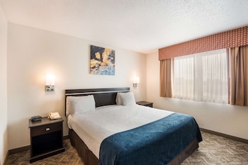 Suite, 1 King Bed, Non Smoking, Refrigerator & Microwave (with Sofabed)