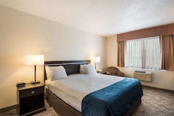 Suite, 1 King Bed, Non Smoking, Refrigerator & Microwave (with Sofabed)