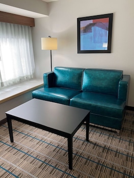 Standard Room, 1 King Bed, Accessible, Refrigerator & Microwave (with Sofabed)