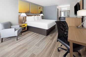 Room, 1 King Bed