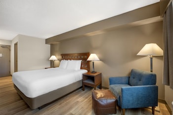 Standard Room, 1 King Bed, Non Smoking (Pet Friendly)