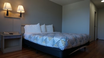 Deluxe Room, 1 Queen Bed, Roll-in Shower, Refrigerator