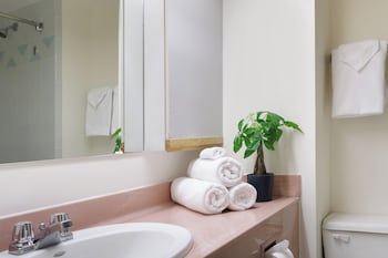 Junior Studio Suite