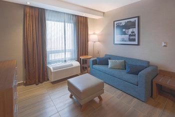 Suite, 1 Bedroom
