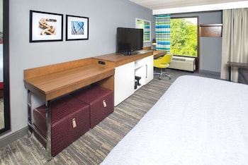 Studio, 1 King Bed with Sofa bed